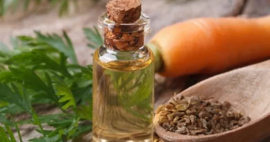 olio-essenziale-di-carota