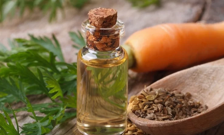 olio-essenziale-di-carota