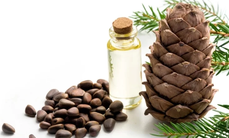 olio-essenziale-di-cedro