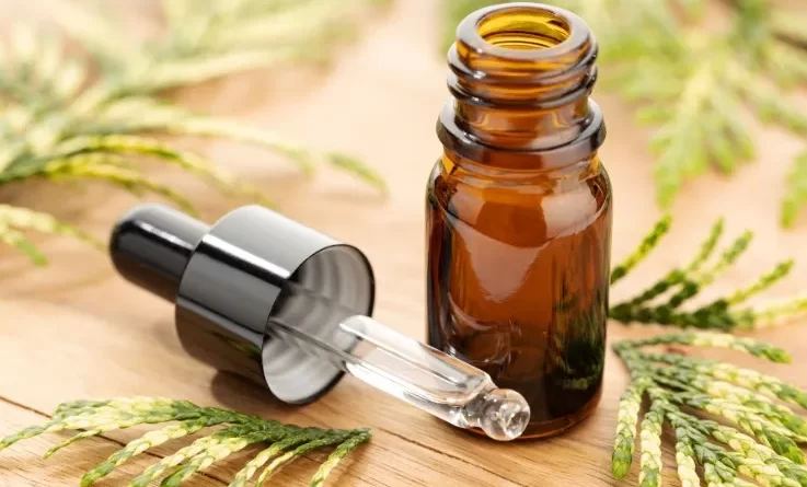 olio-essenziale-di-cipresso