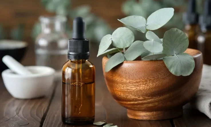 olio-essenziale-di-eucalipto