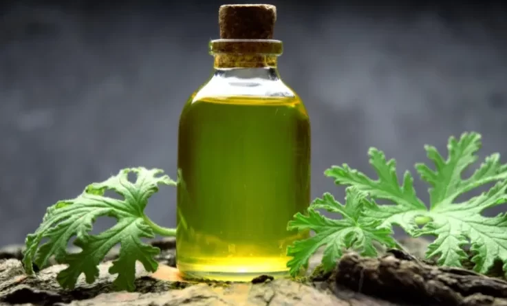 olio-essenziale-di-lemongrass